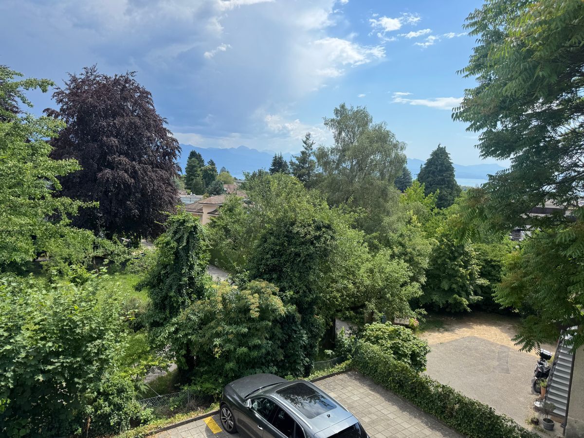 Picture 7
