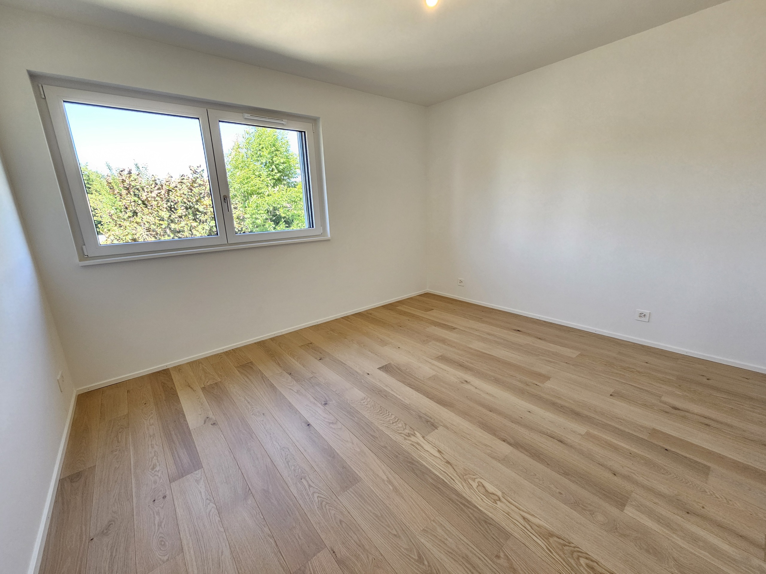 Interior view 6