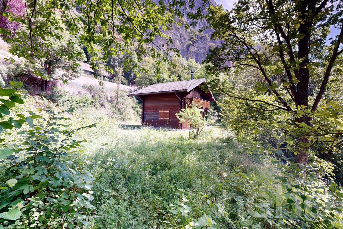 Foto 8