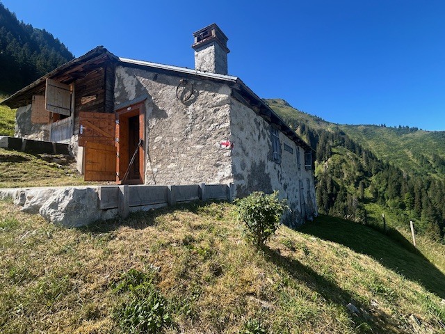Photo 5