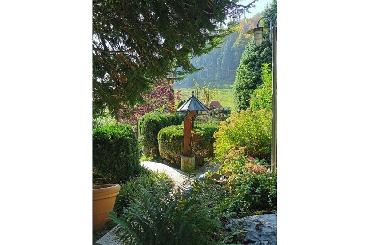 Foto 8