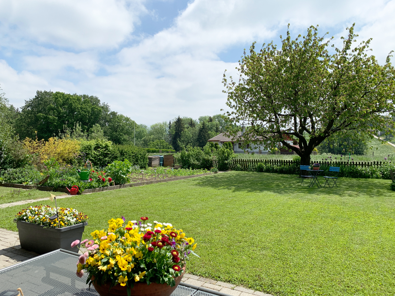 Cottens - Villa individuelle 5.5 pièces -  Jardin