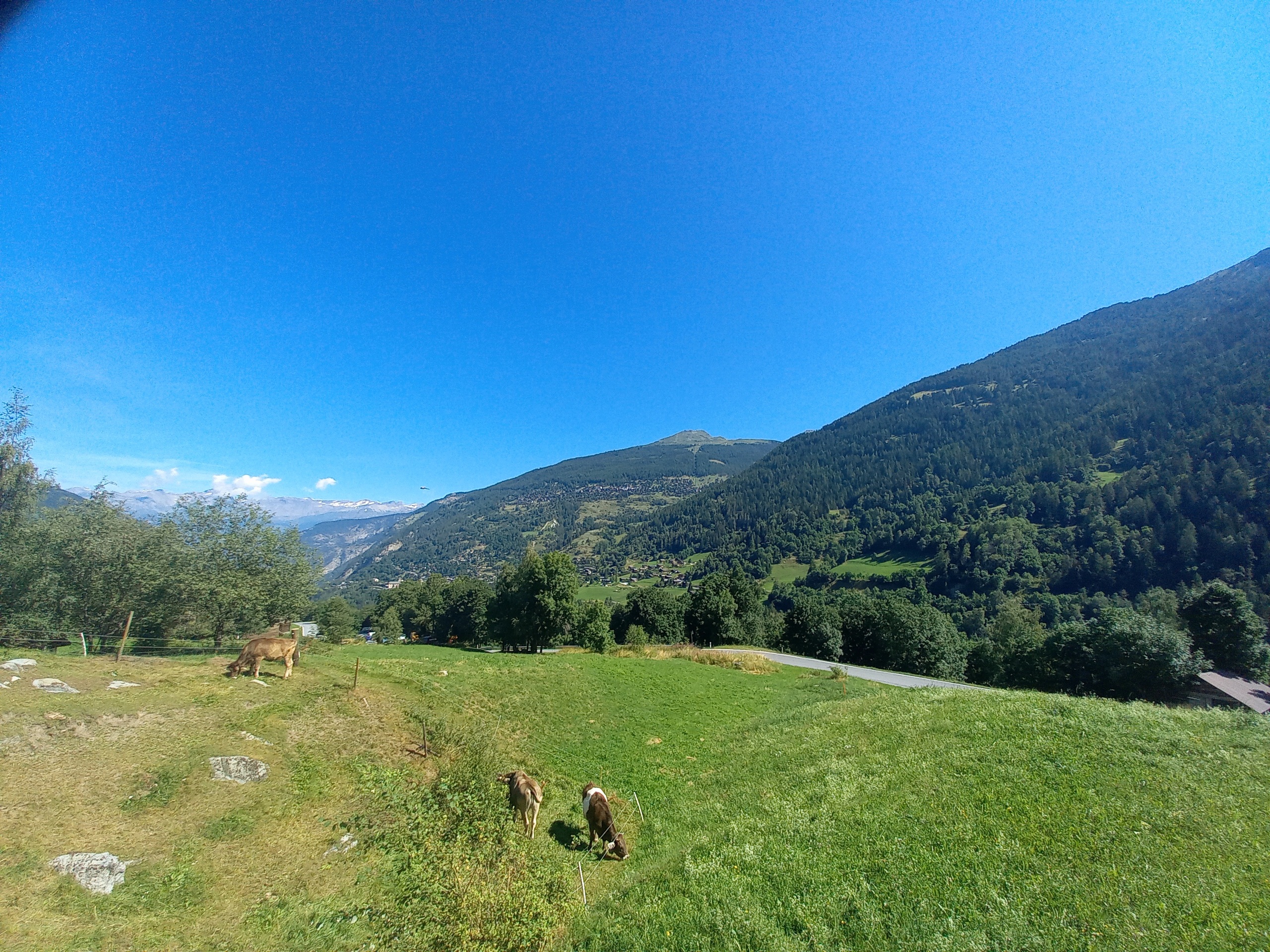 Vue dégagée Vue dégagée