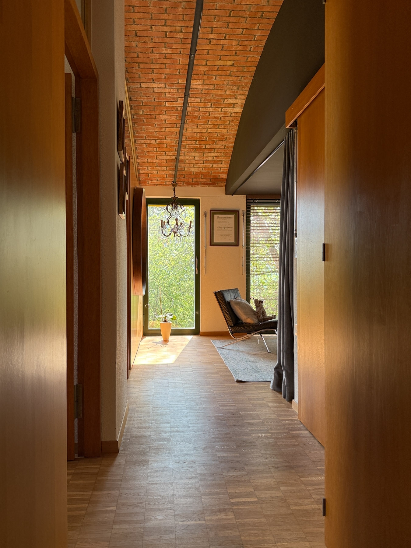 Picture 9