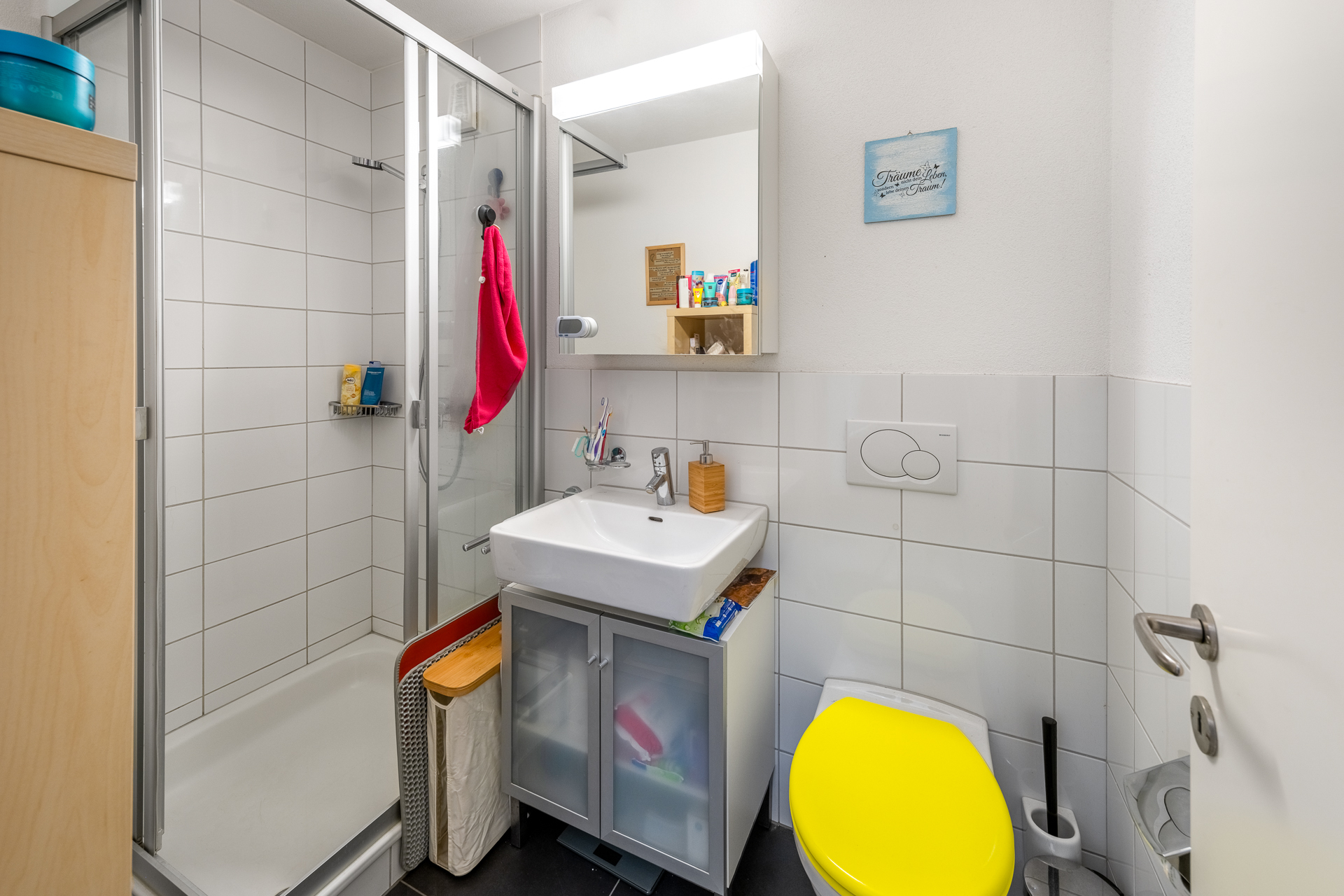 Nasszelle mit Dusche, WC und Lavabo Nasszelle mit Dusche, WC und Lavabo