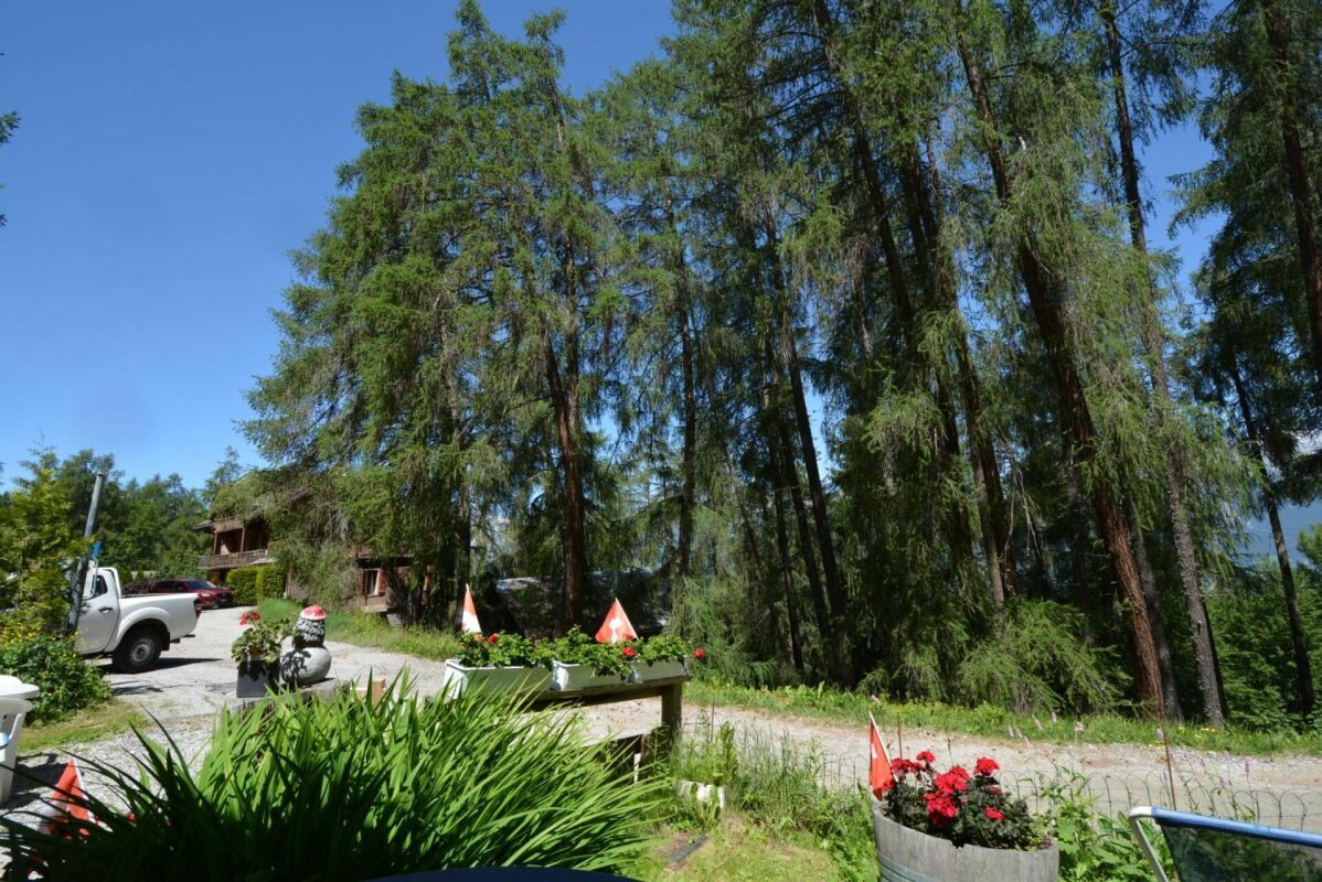 Foto 11
