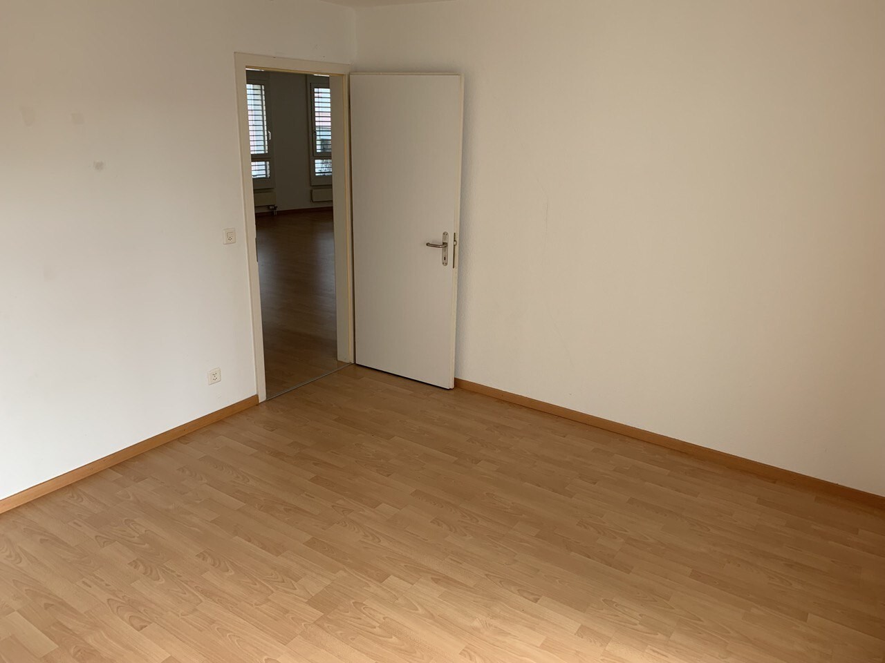 Picture 8