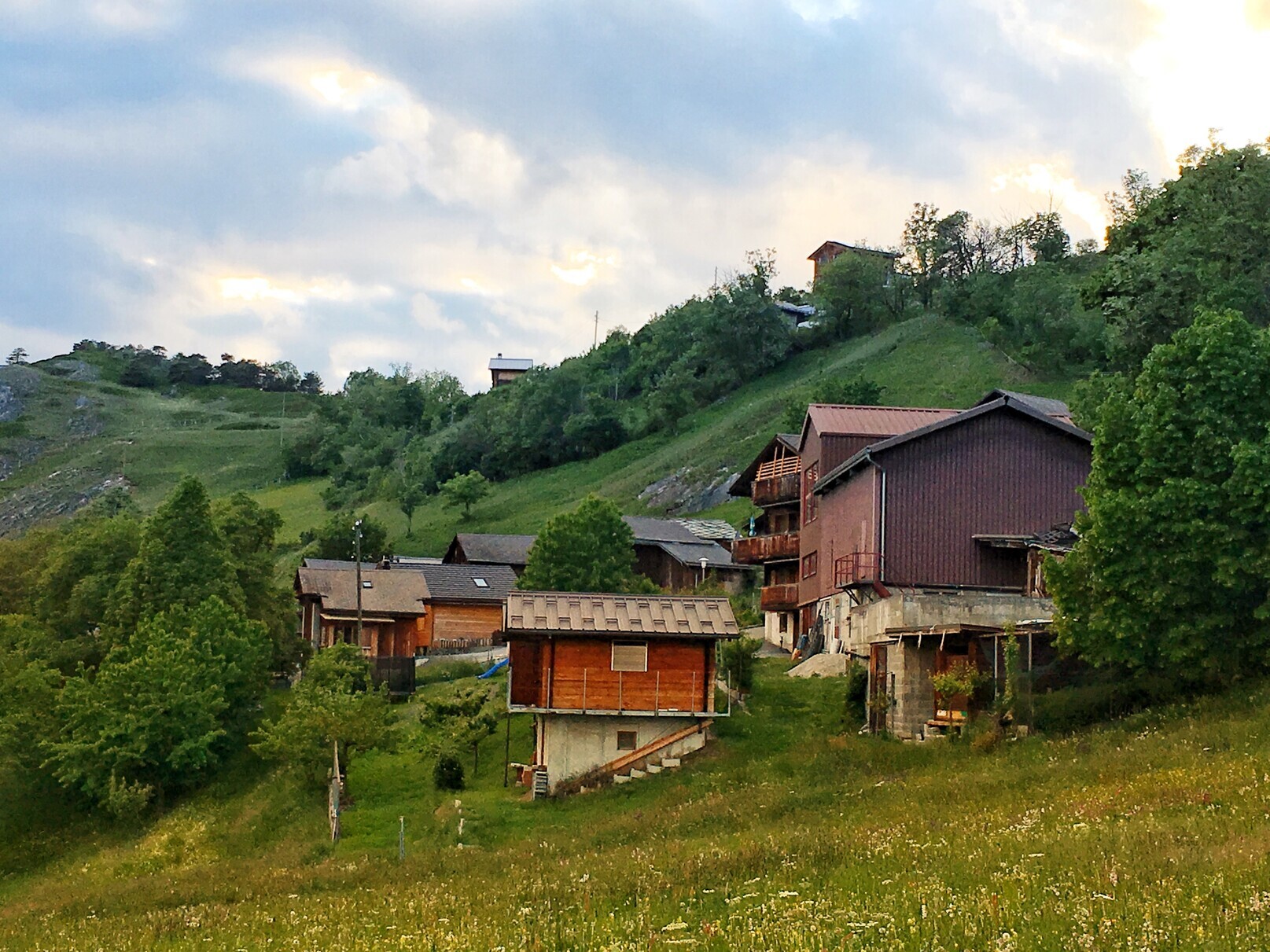 Immagine di copertina