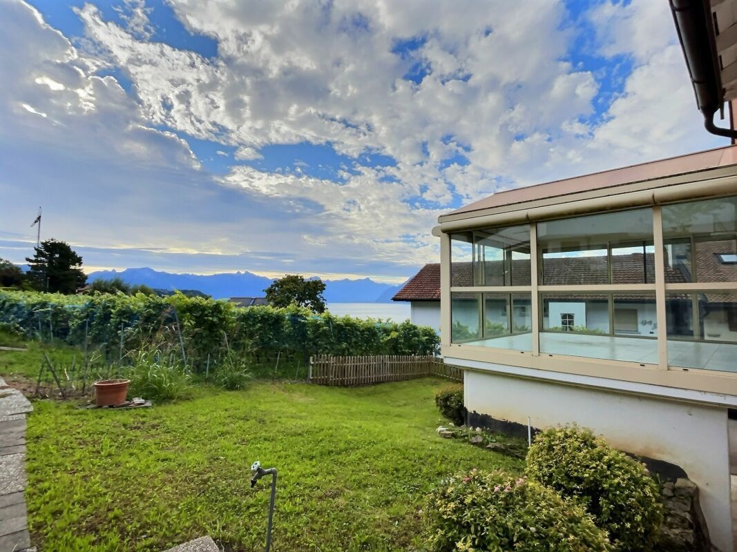 Premier coup d'oeil 1