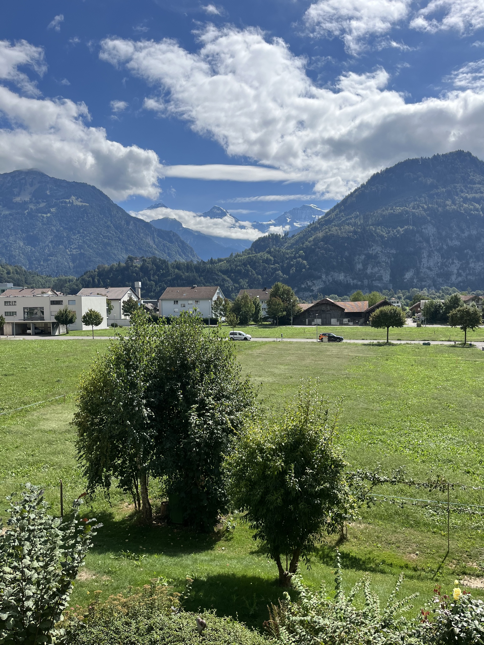 Aussicht