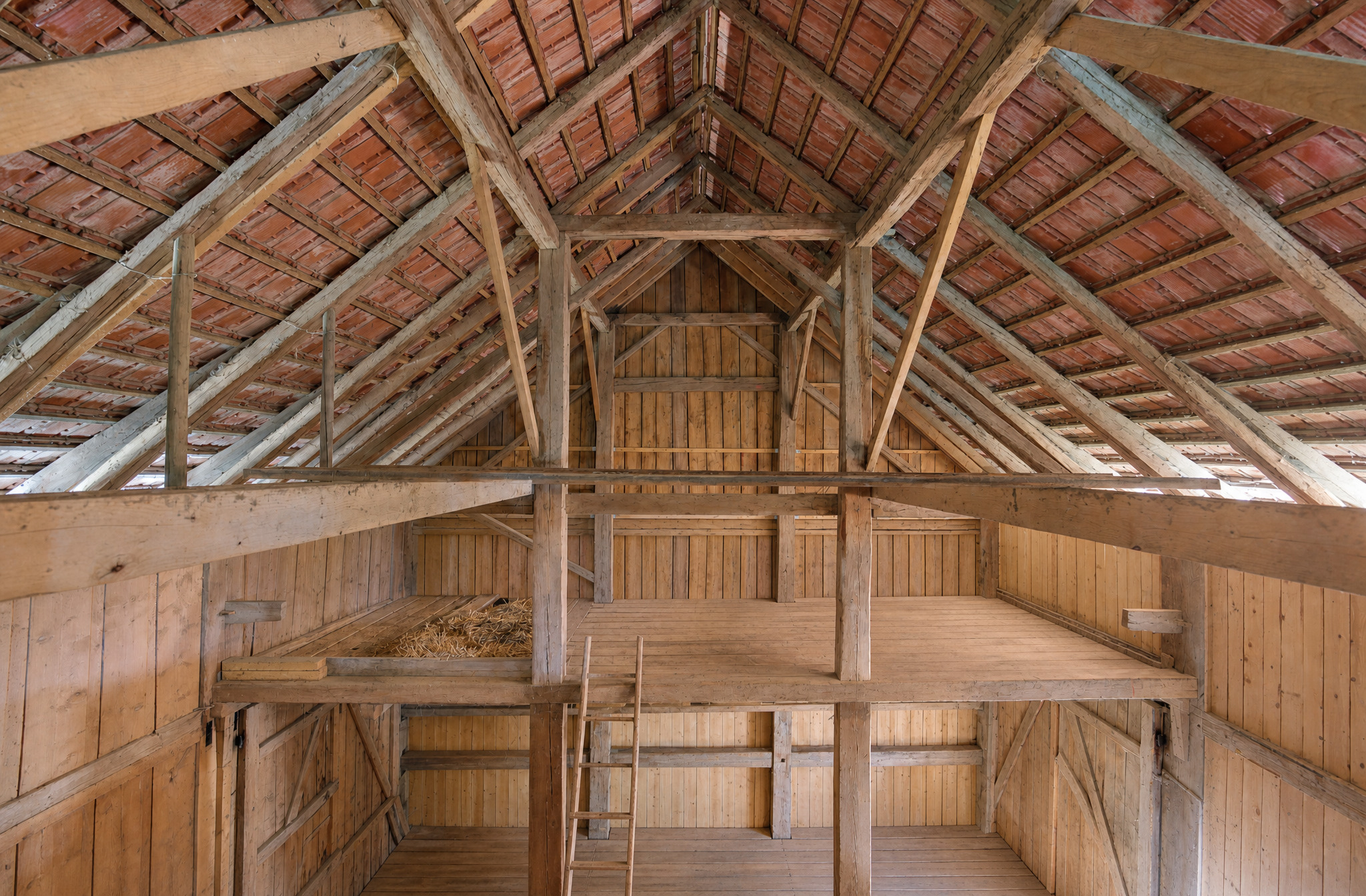 Picture 8