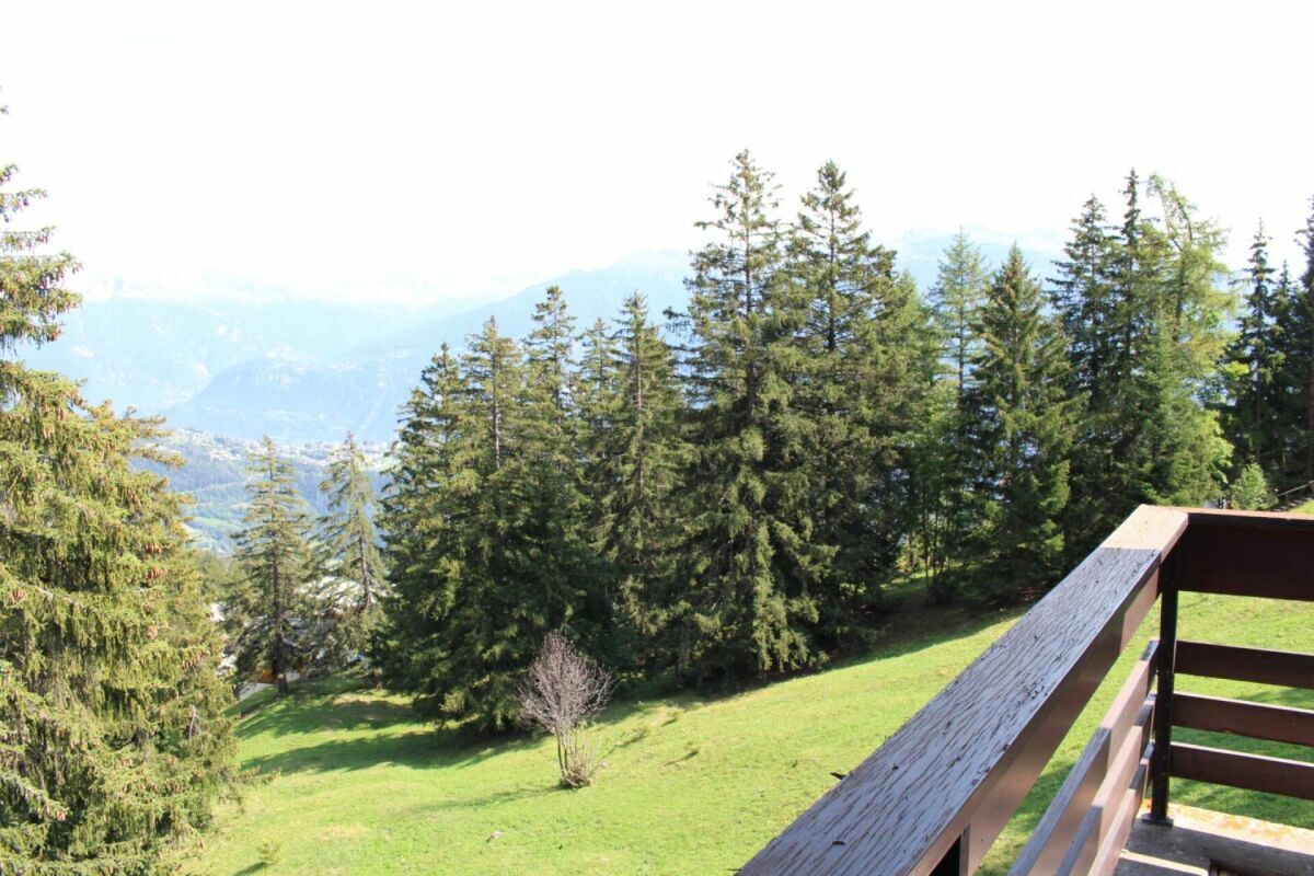 Foto 11
