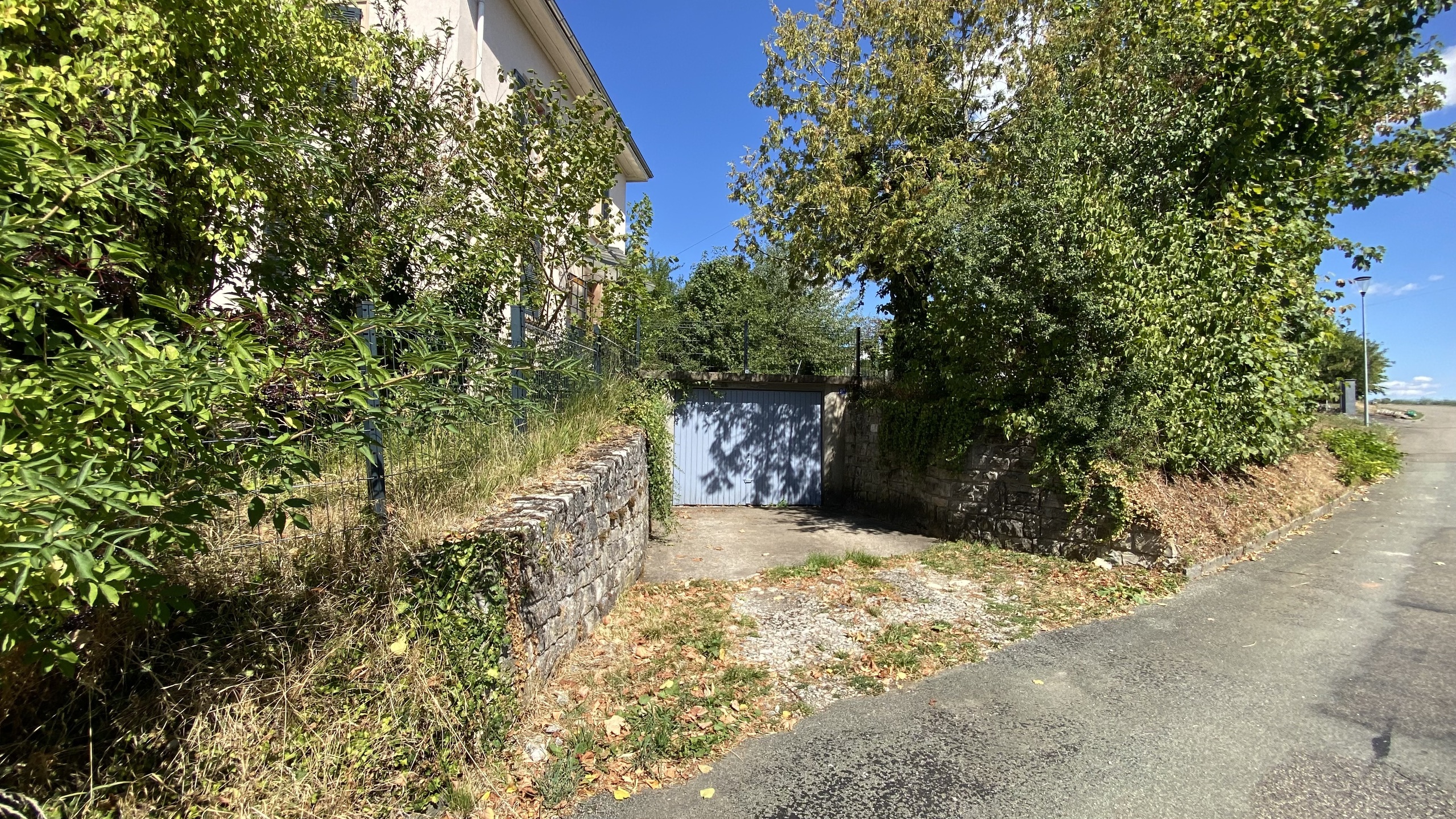 Photo 29