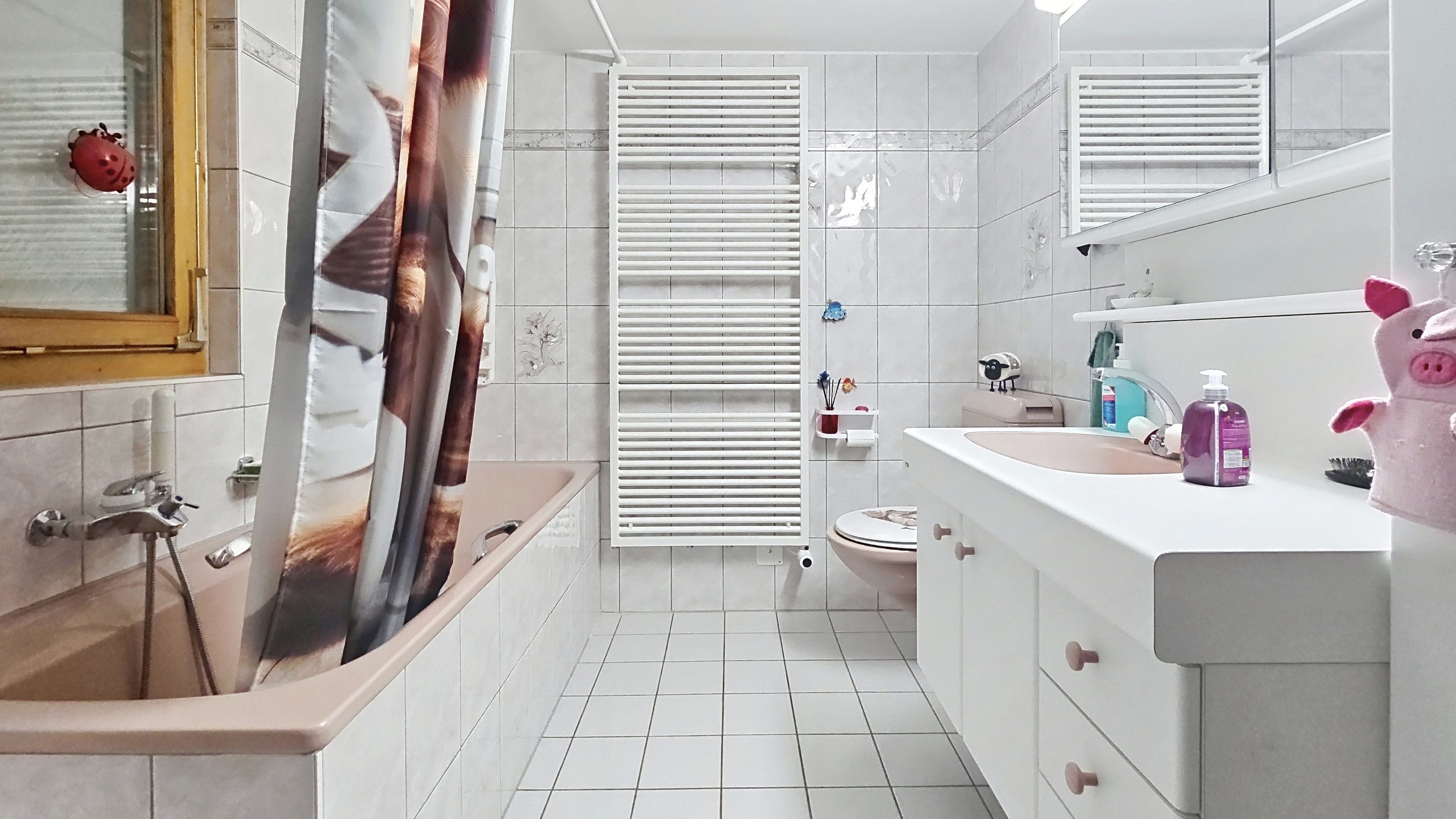 Appartement ouest - salle de bain