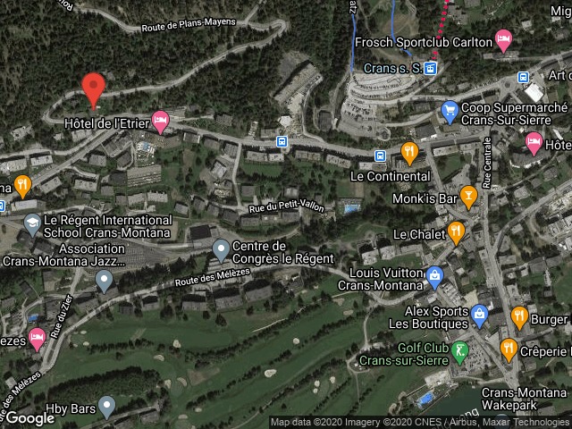 Route de Plans Mayens 4 - 3963 Crans-Montana 