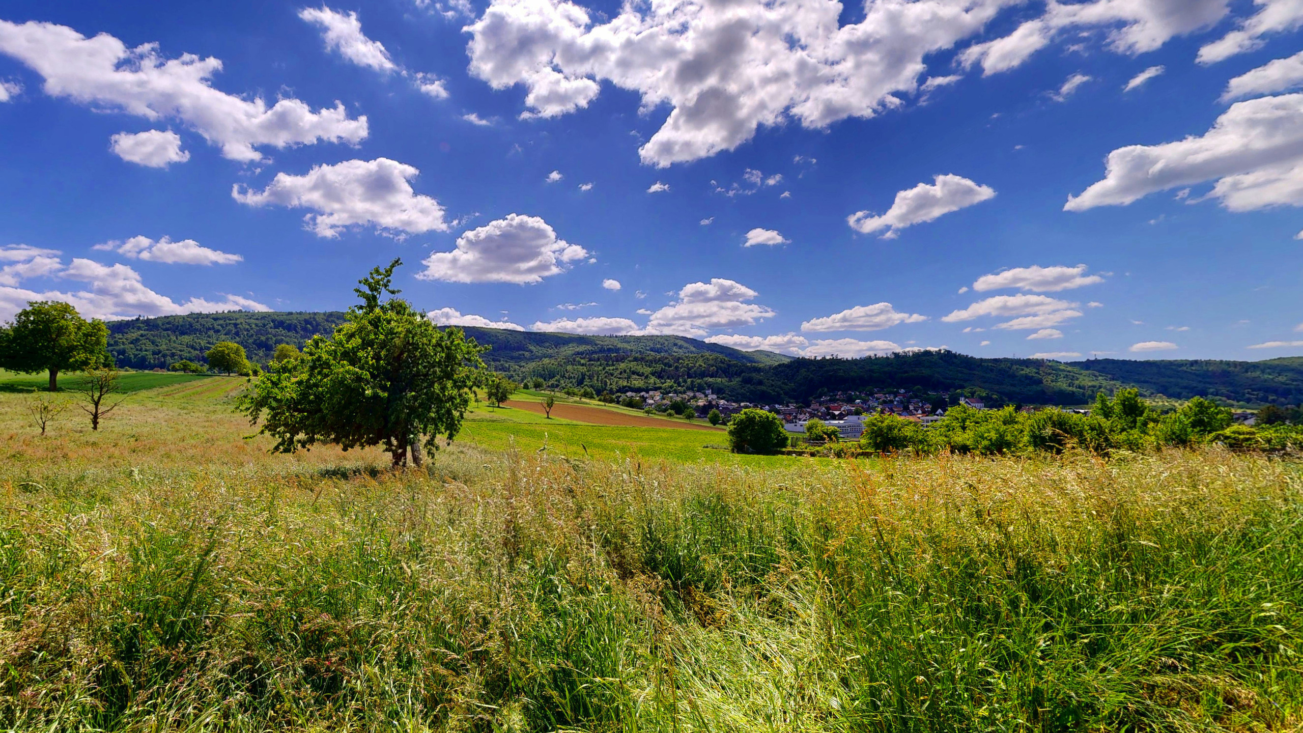 Panoramaussicht Panoramaussicht