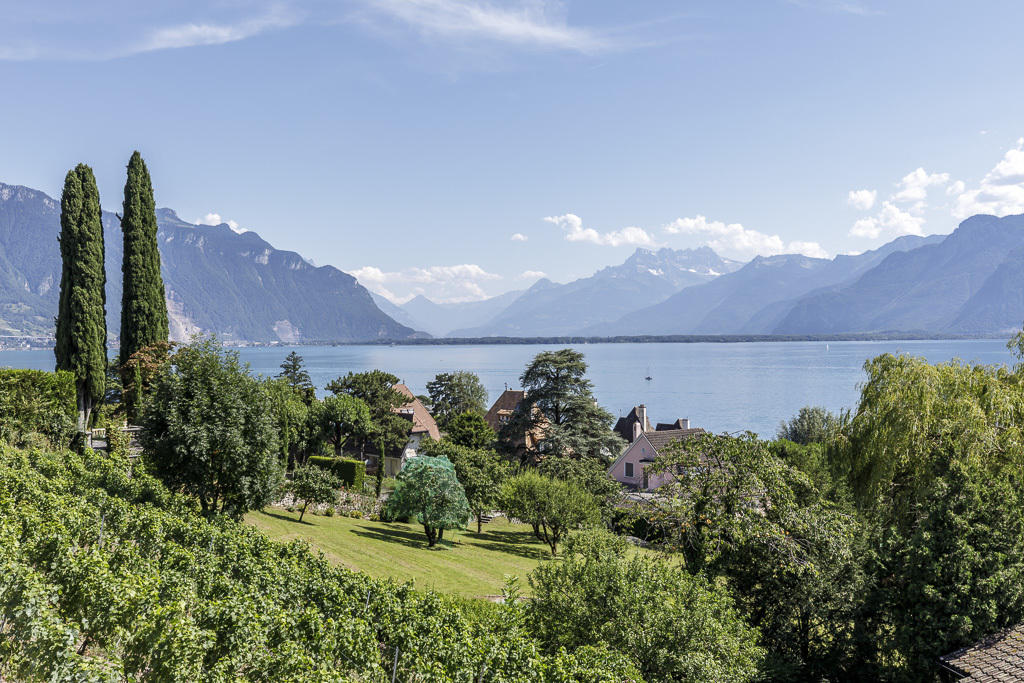 Vue panoramique Vue panoramique