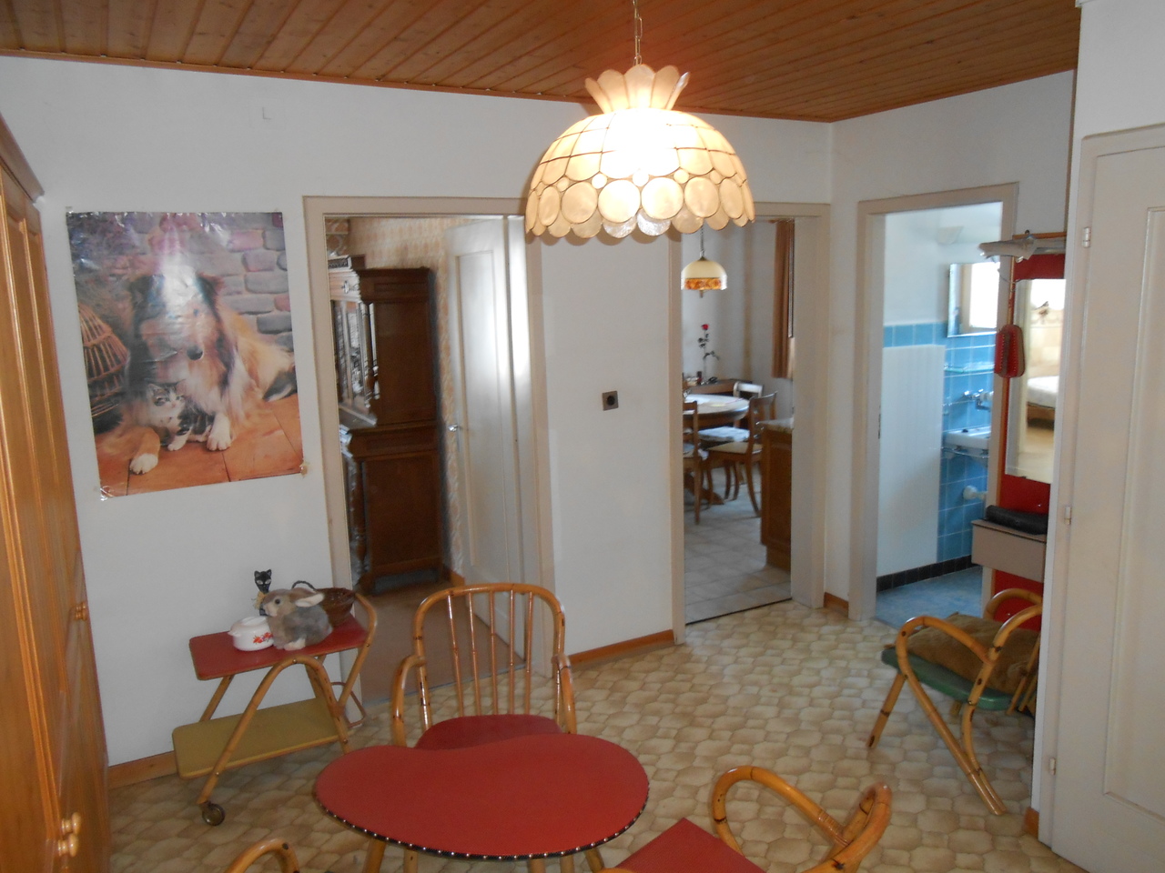 Foto 6