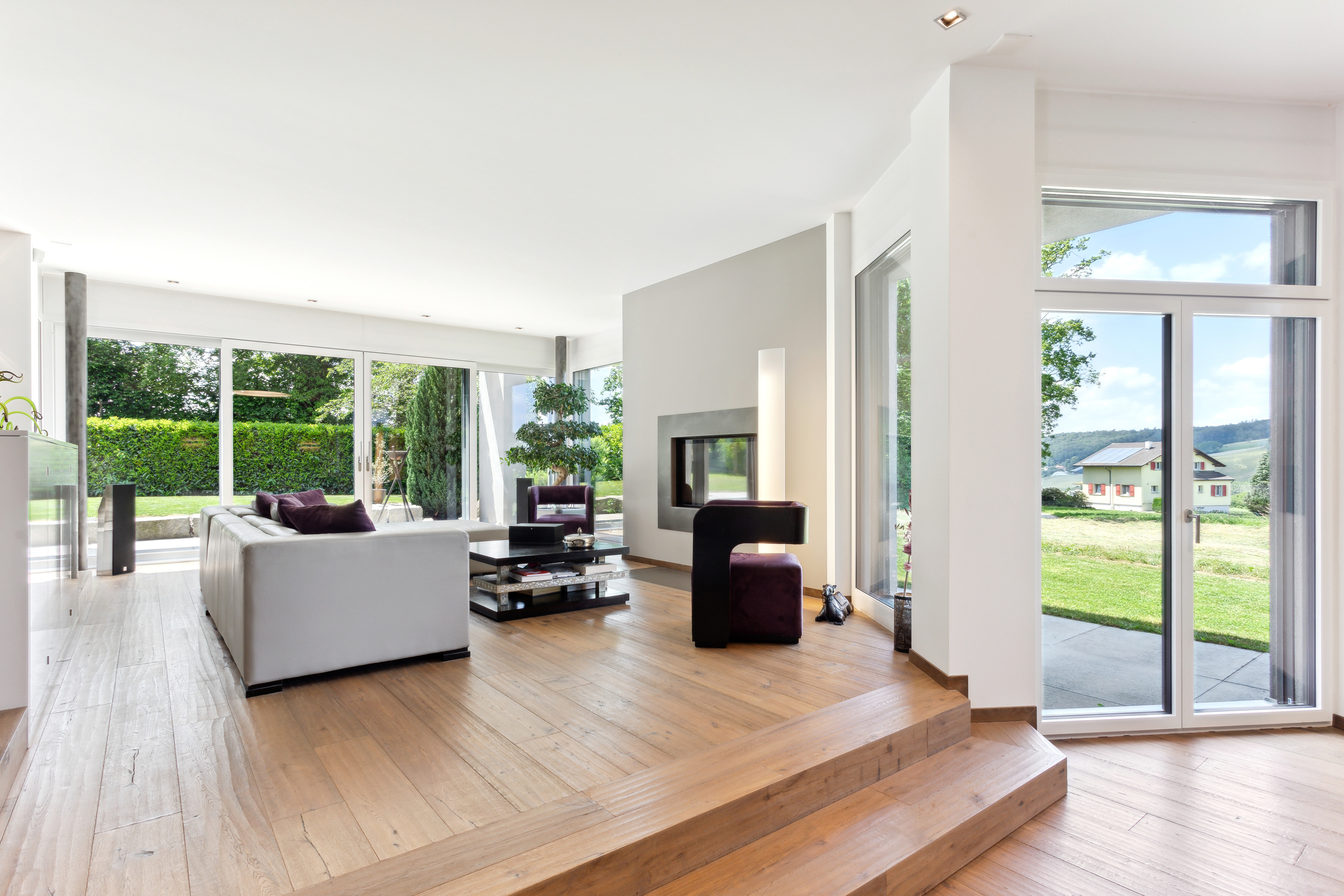 Séjour avec cheminée Séjour avec cheminée