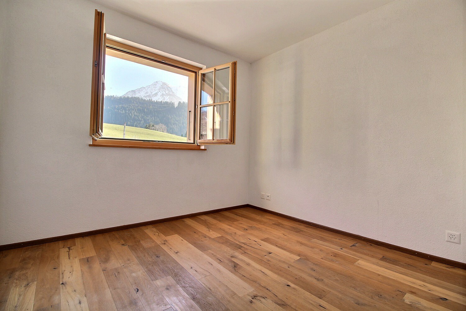 Picture 4