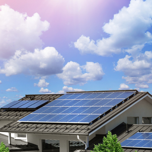 A sustainable lifestyle in 7 steps