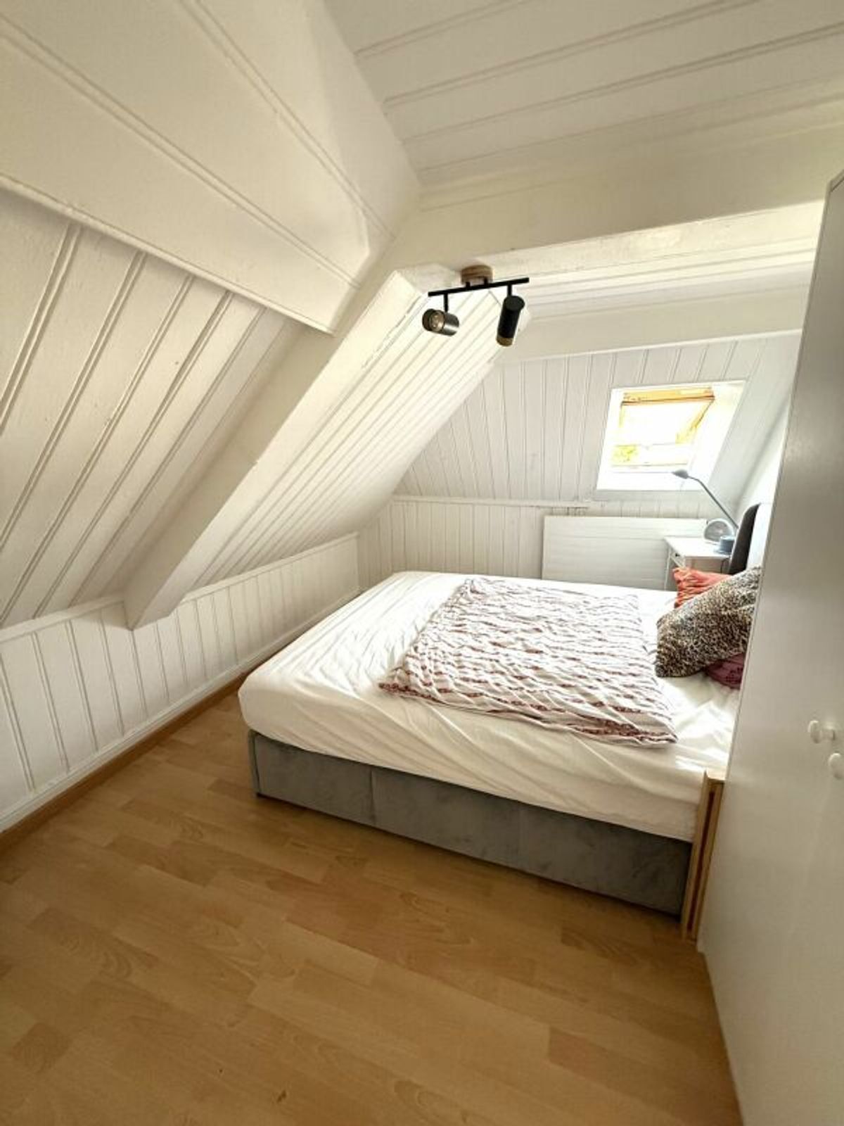 Picture 7