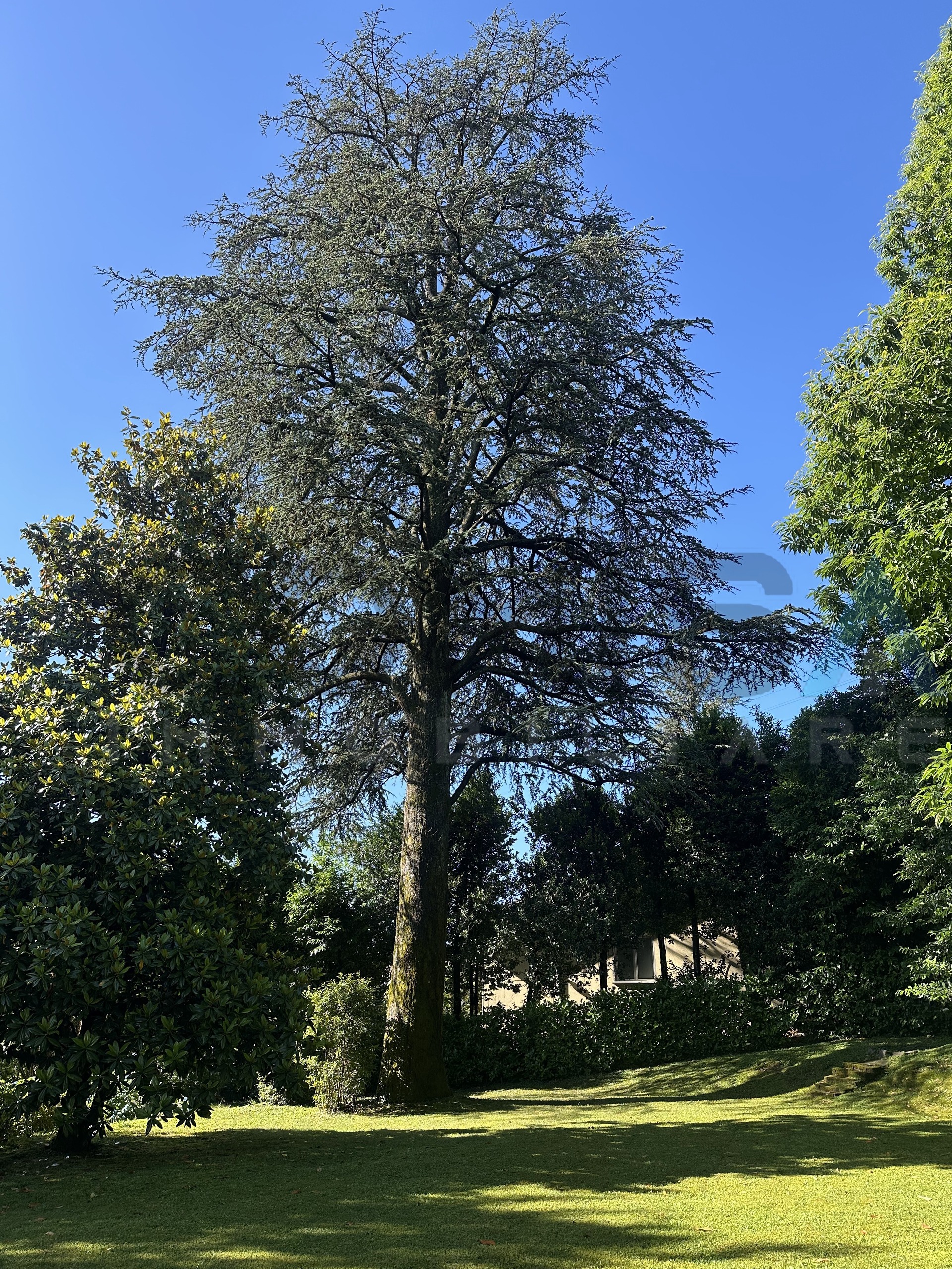vista dall'appartamento