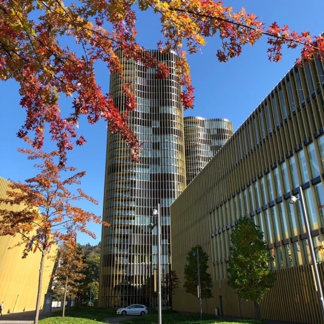 Immagine di copertina