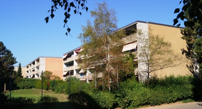 Immagine di copertina