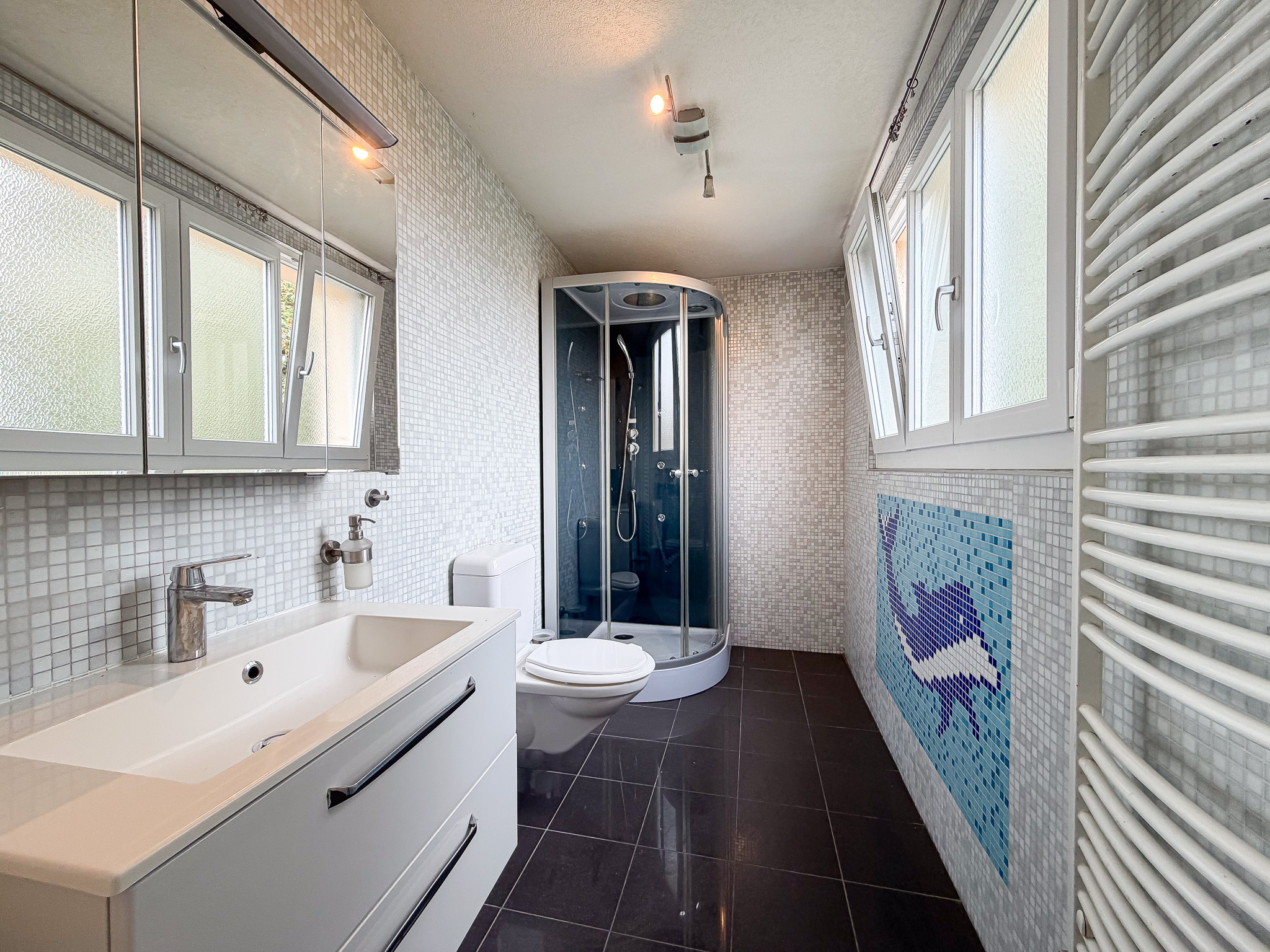 EG Dusche/WC EG Dusche/WC