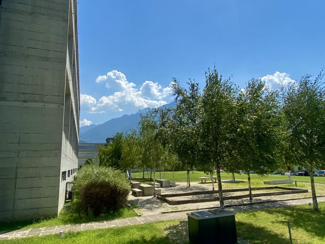 Foto 15