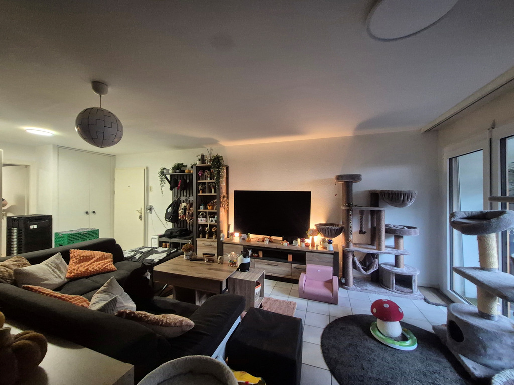 Foto 5