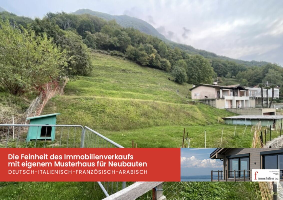 Immagine di copertina