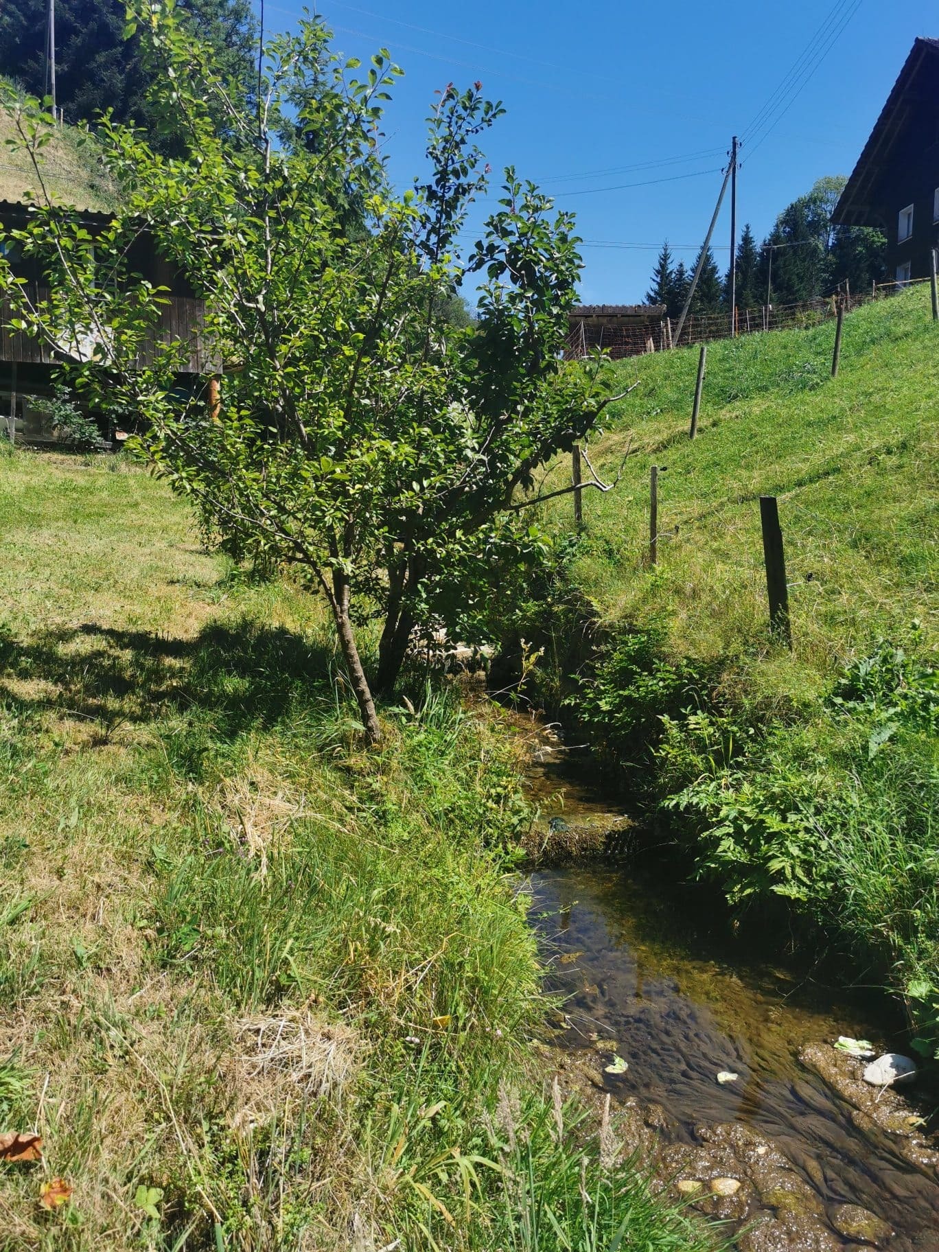 Bach als südliche Grenze Bach als südliche Grenze