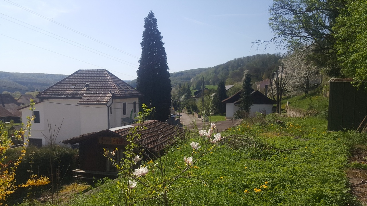 plot of land with the apartment