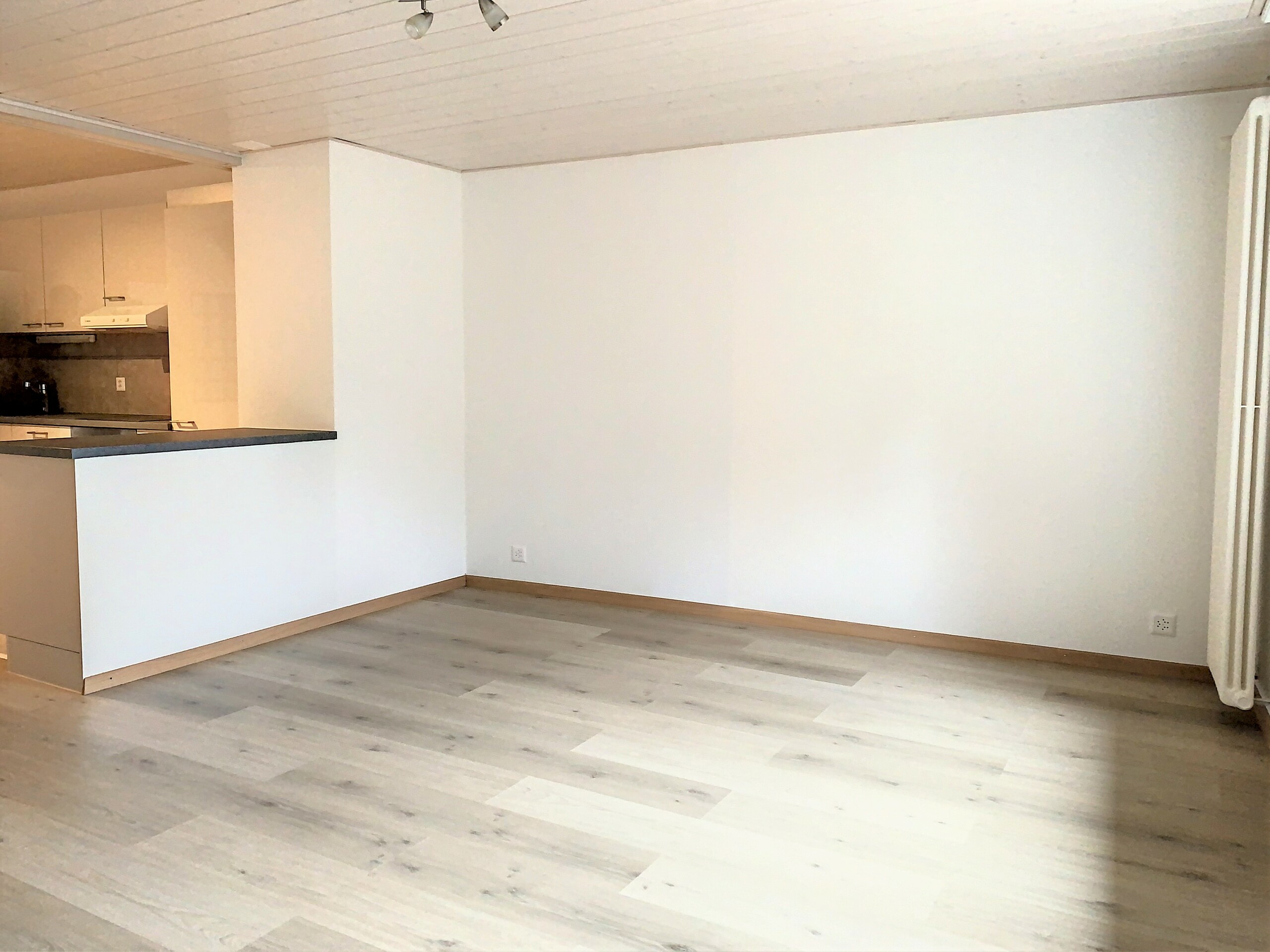 Salon Salon