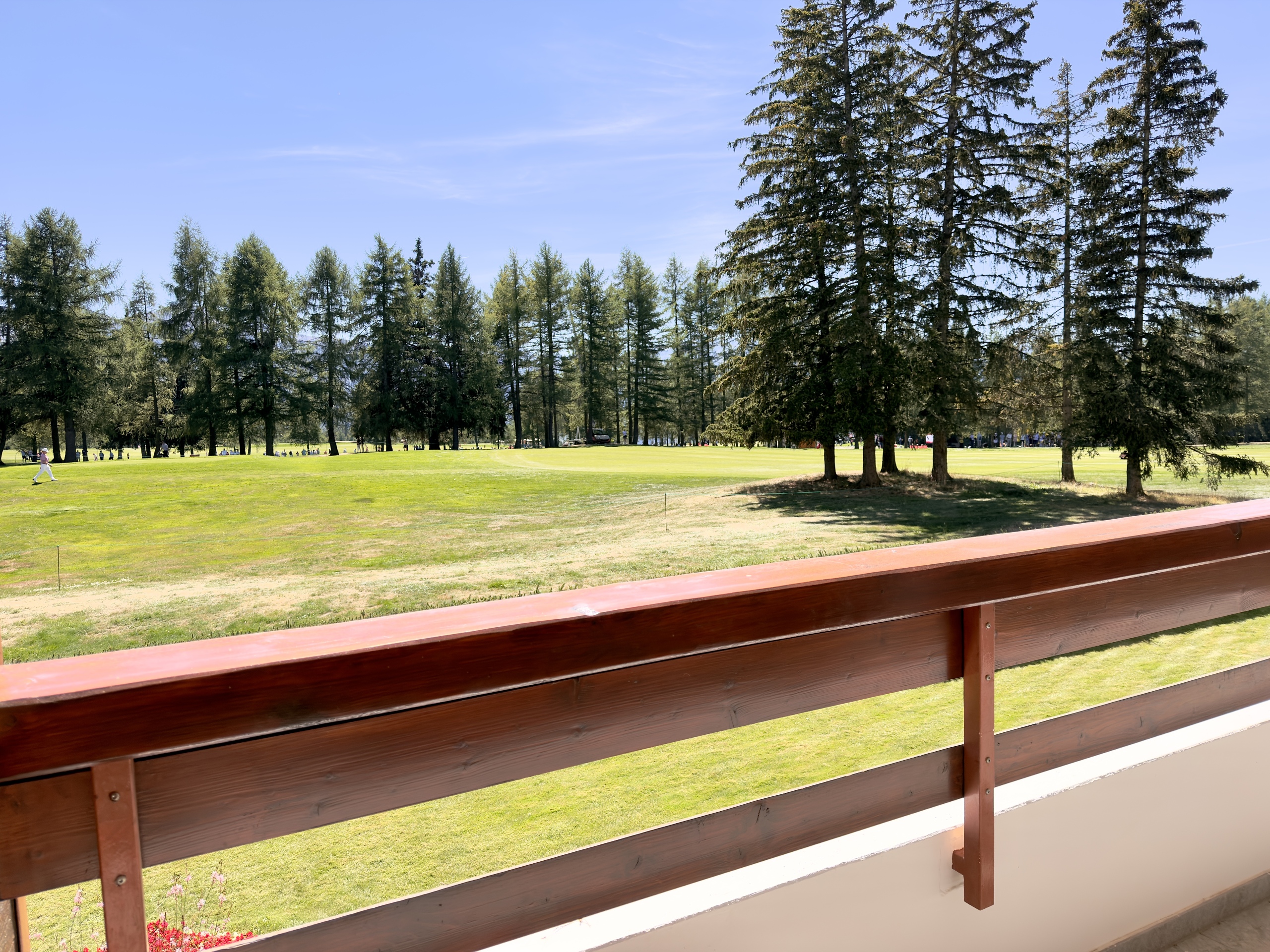 South-Facing Terrace South-Facing Terrace