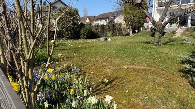 Aussenansicht 2