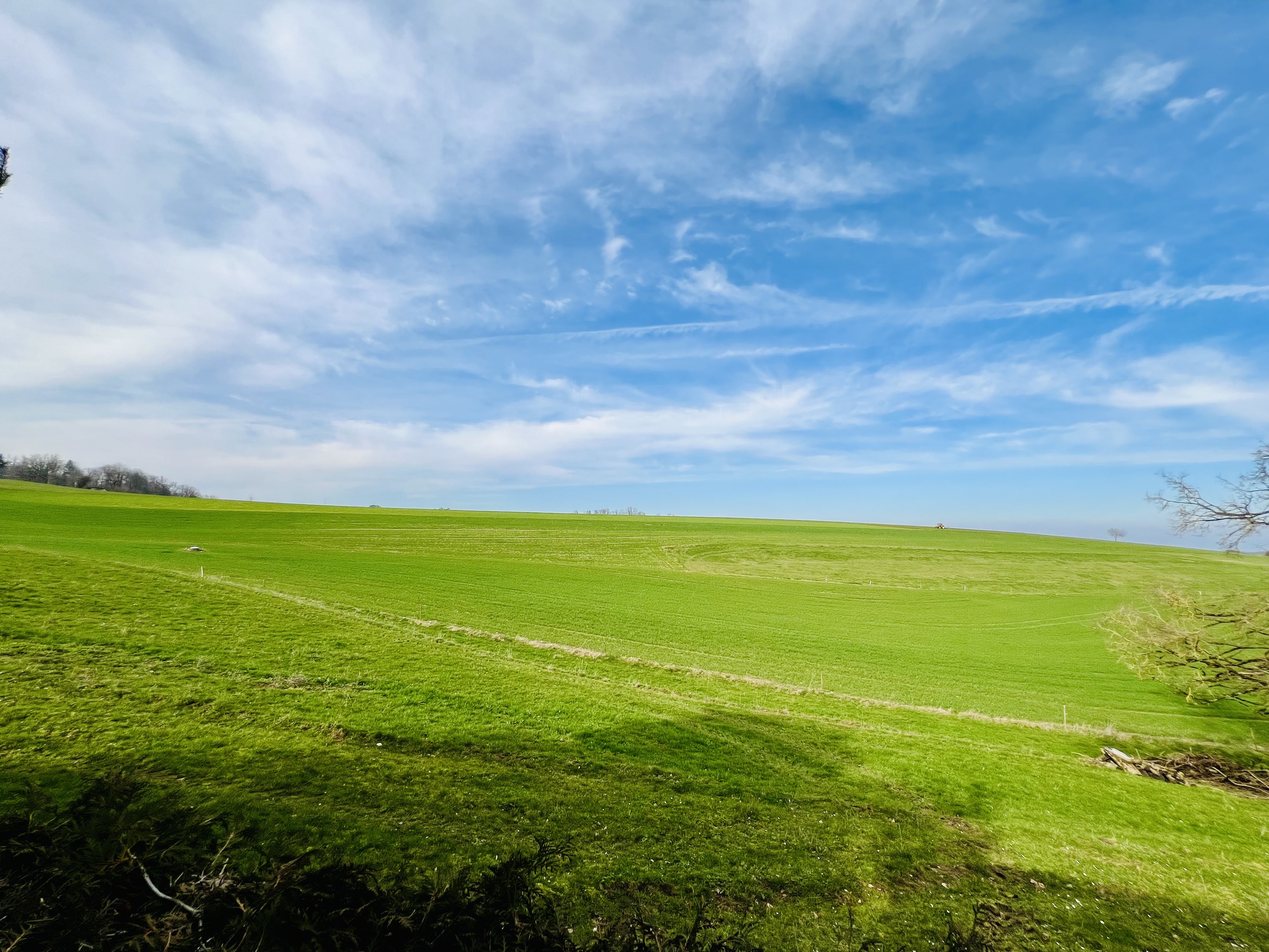 View from bedroom View from bedroom