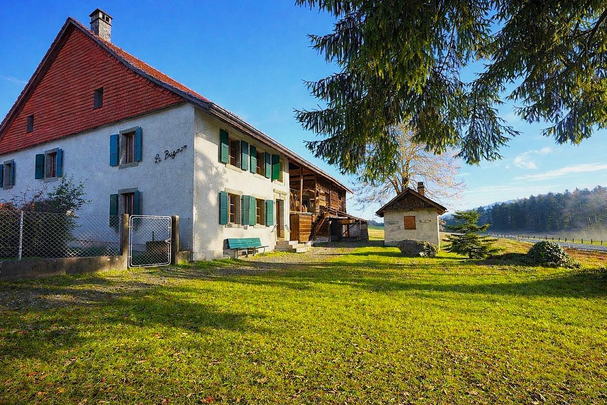 Premier coup d'oeil 1