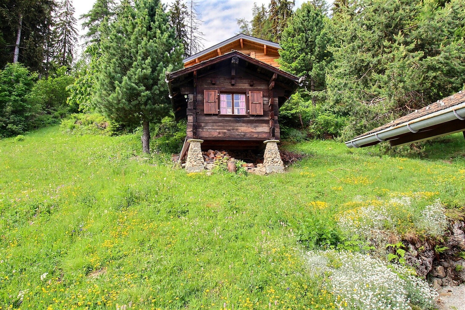 Aussenansicht 3