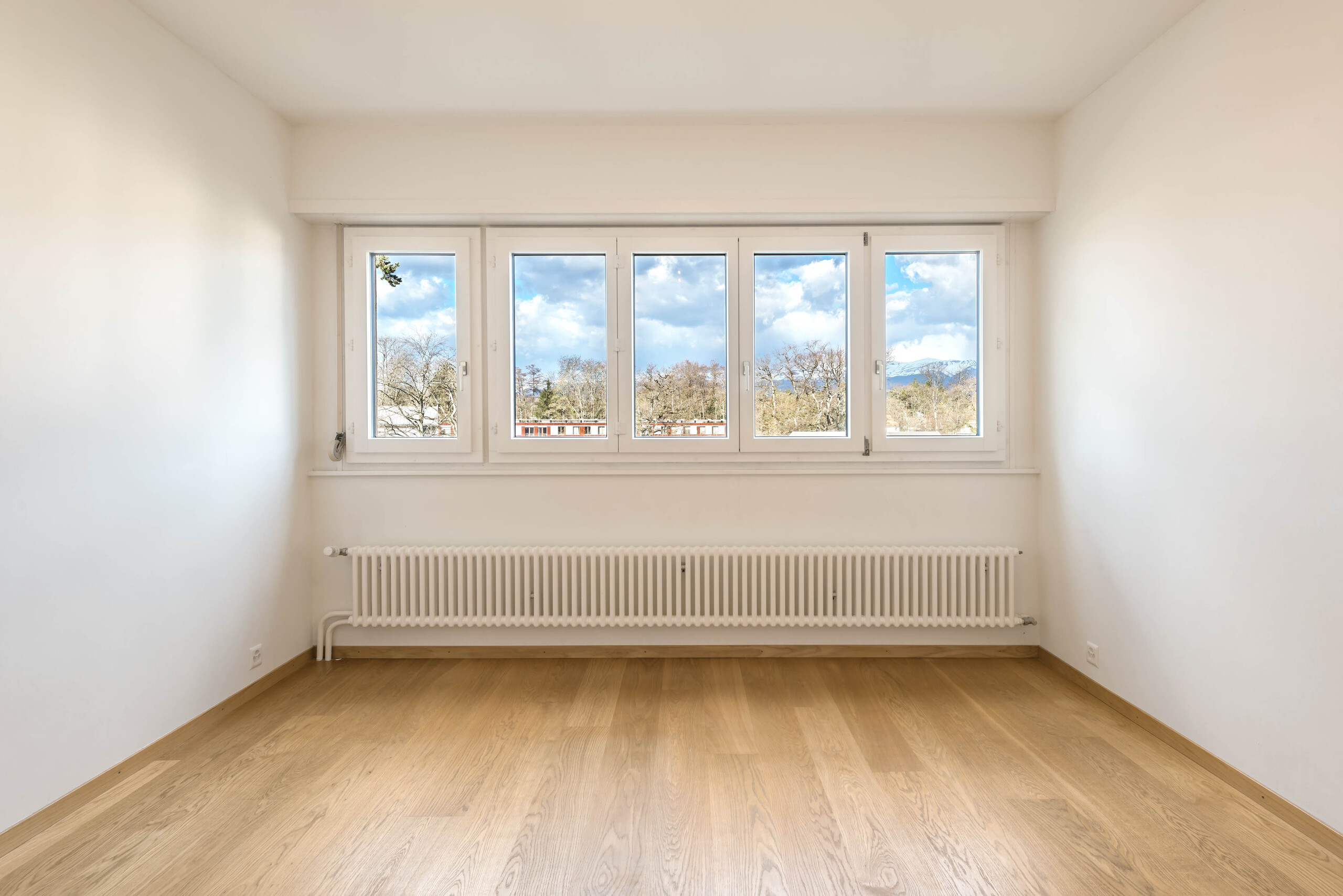 Interior view 4