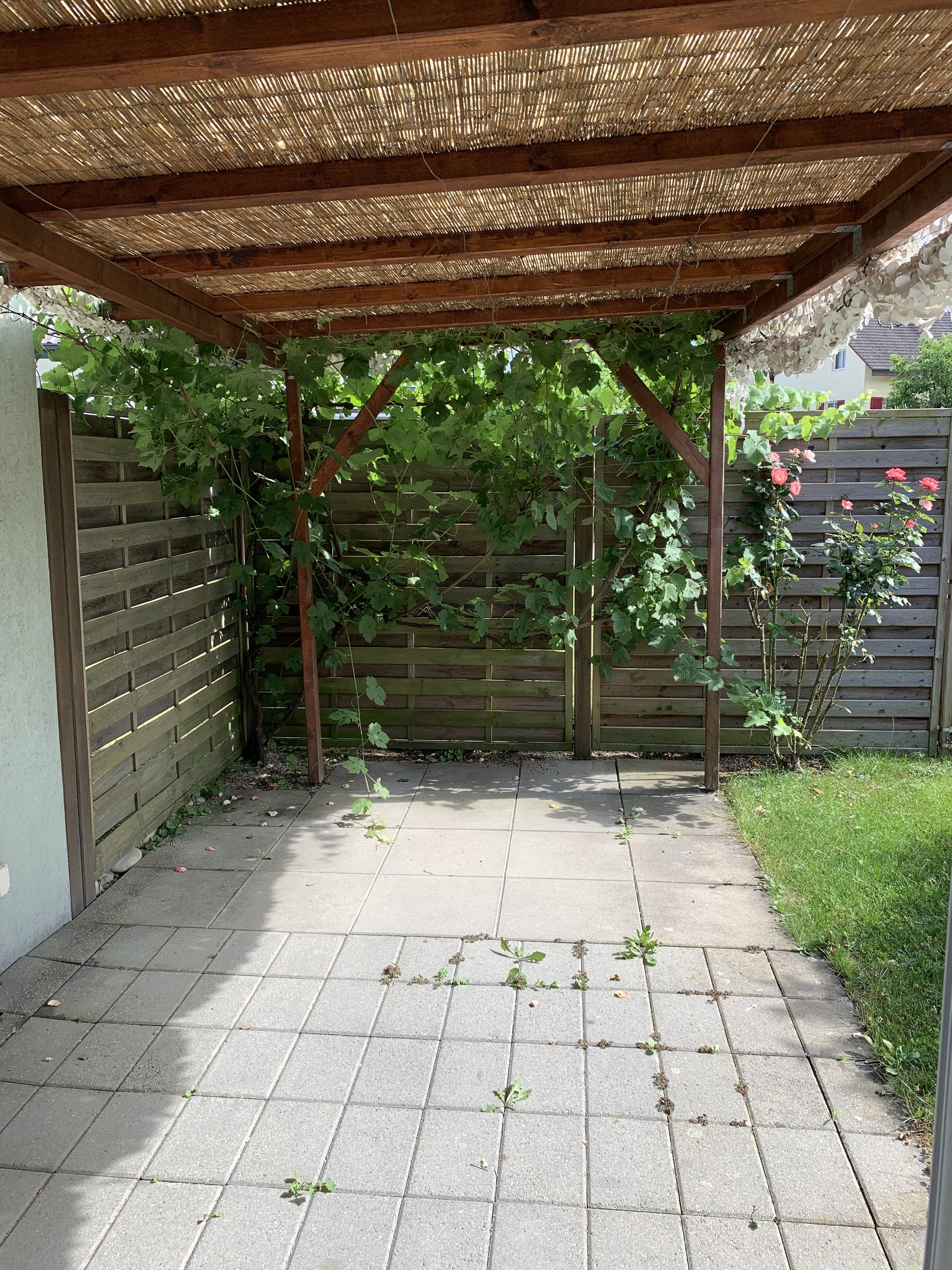 Pergola