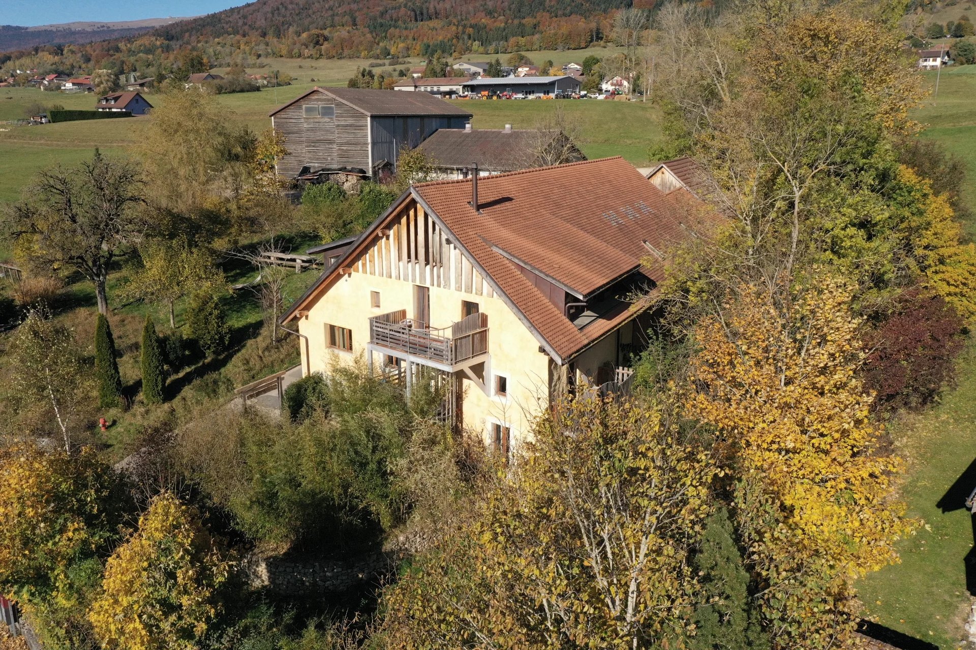 Photo 1