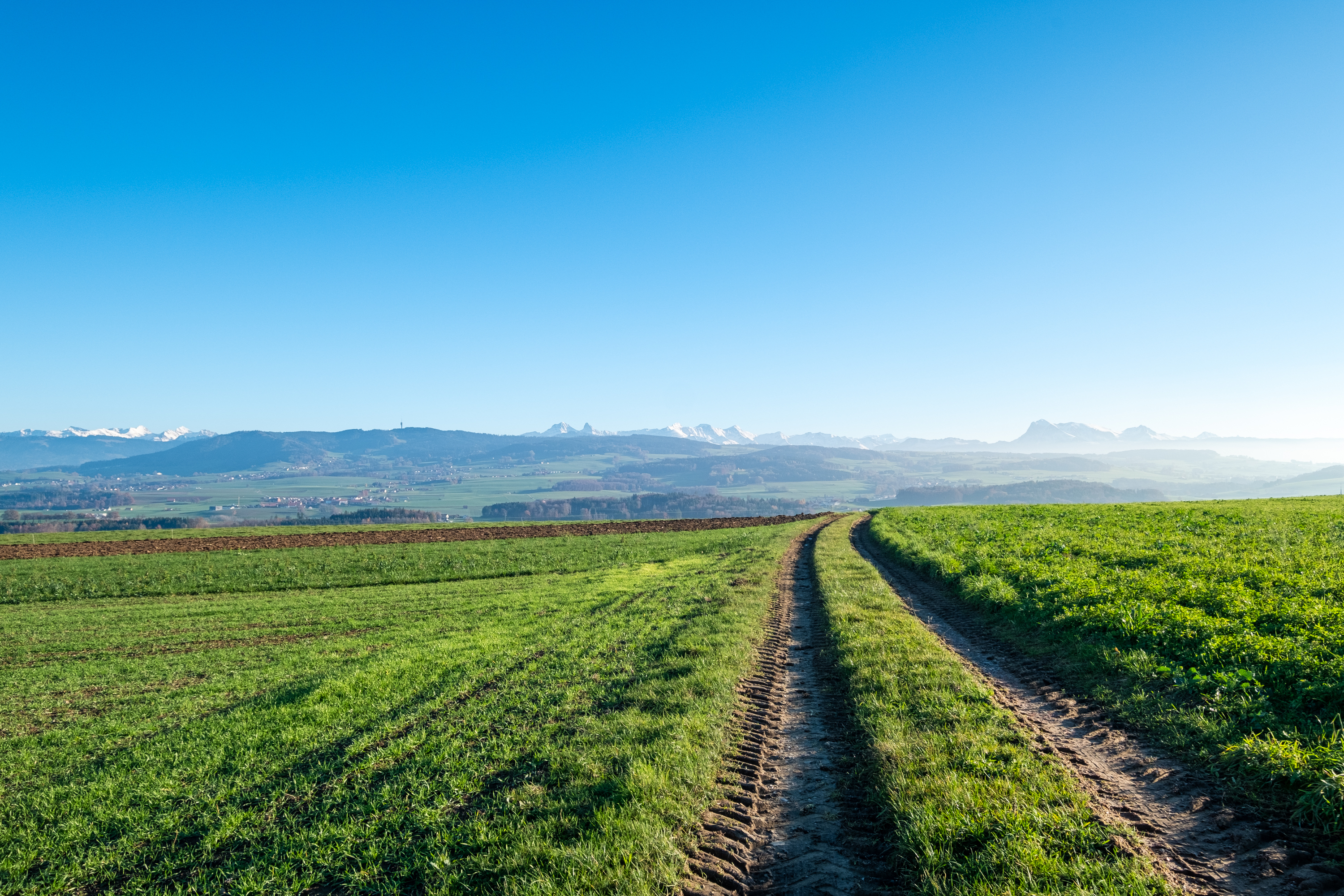 Projet immobilier à Villarimboud avec maisons et Domespaces à vendre : la région.