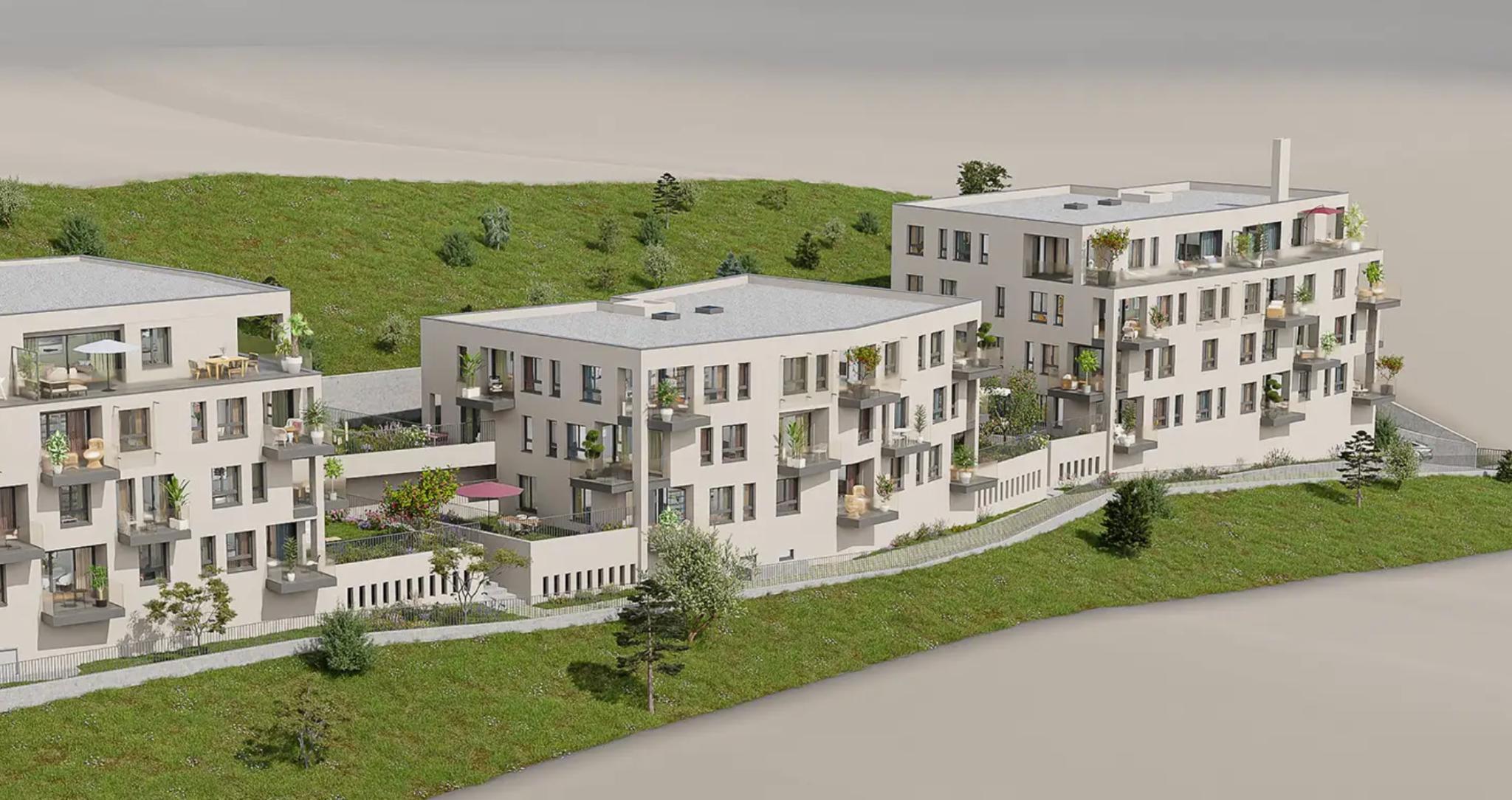 Premier coup d'oeil 1