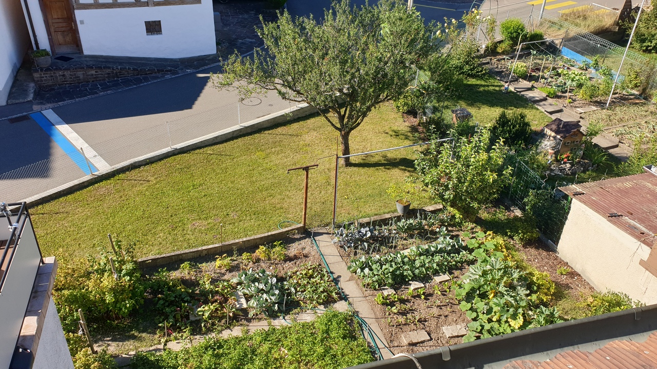 jardin jardin