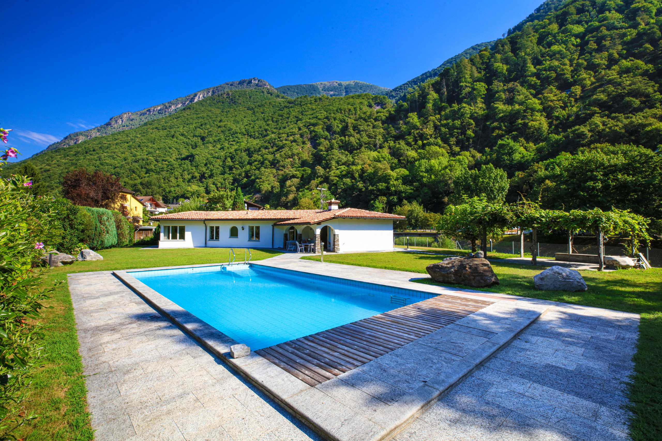 Immagine di copertina