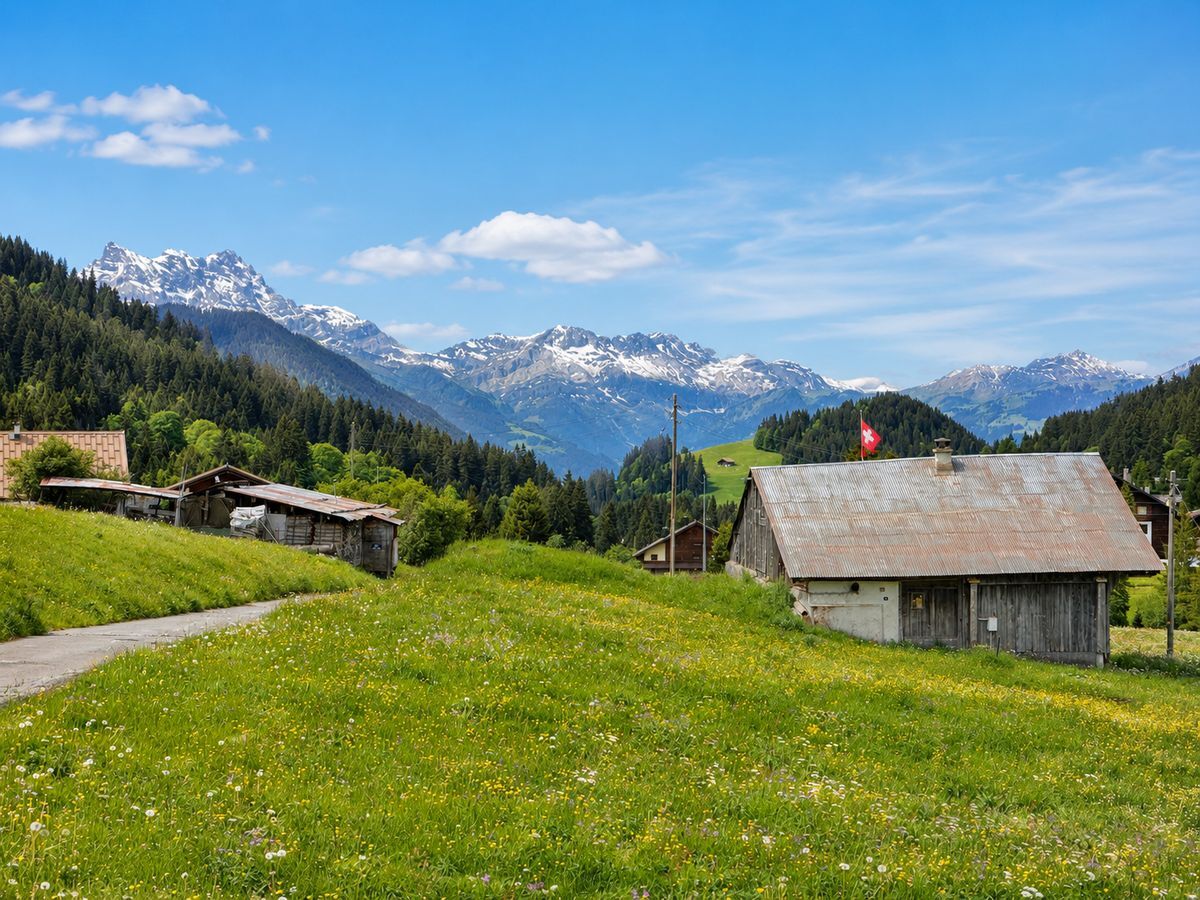 Terrain avec vue sur les montagnes enneigées Terrain avec vue sur les montagnes enneigées