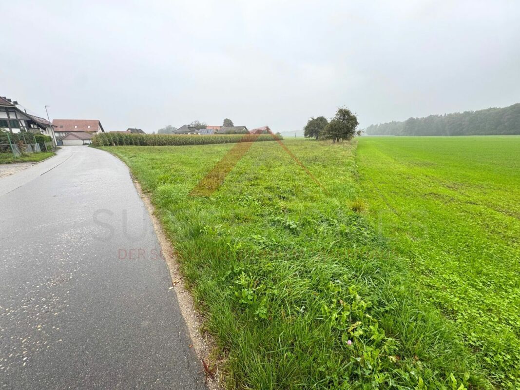 Grundstück / Umgebung ? Terrain / environnement